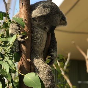 Meet your Posher, Kyra